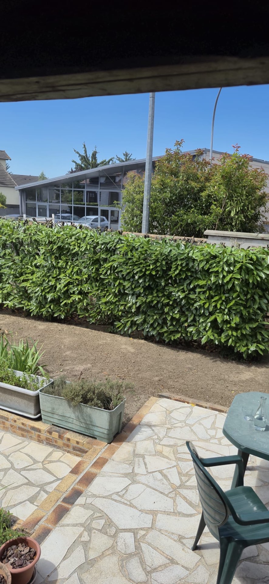 Haie de laurier taillée et jardin nettoyé après intervention paysagiste à Argenteuil
