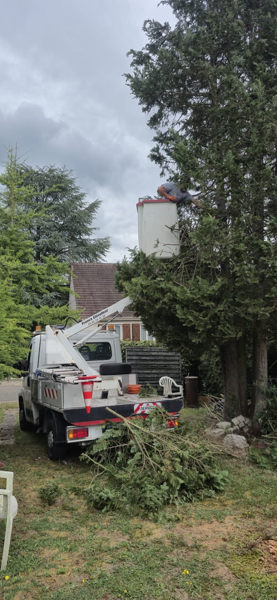 Taille de cèdre en nacelle par élagueur professionnel à Argenteuil