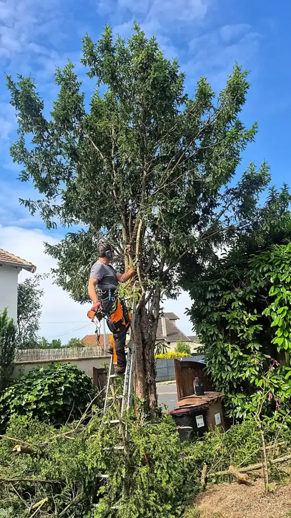 Chantier de Leboucher Paysagiste