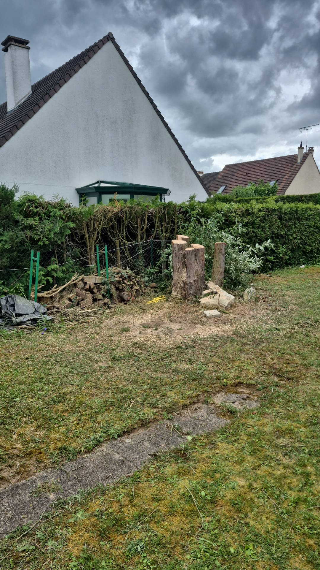 Après — Abattage d'un grand conifère étape par étape (Argenteuil — Val d'Oise)