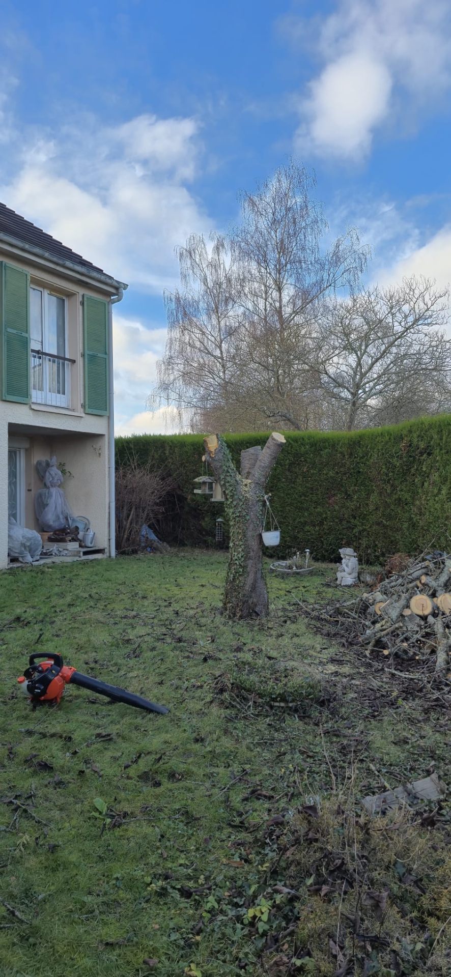 Après Abattage et nettoyage — paysagiste Argenteuil Argenteuil — Cergy-Pontoise