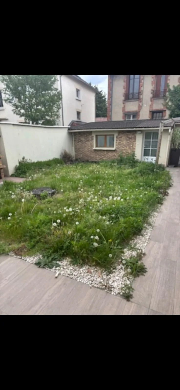 Avant — Création de pelouse en rouleau (Argenteuil — Val d'Oise)